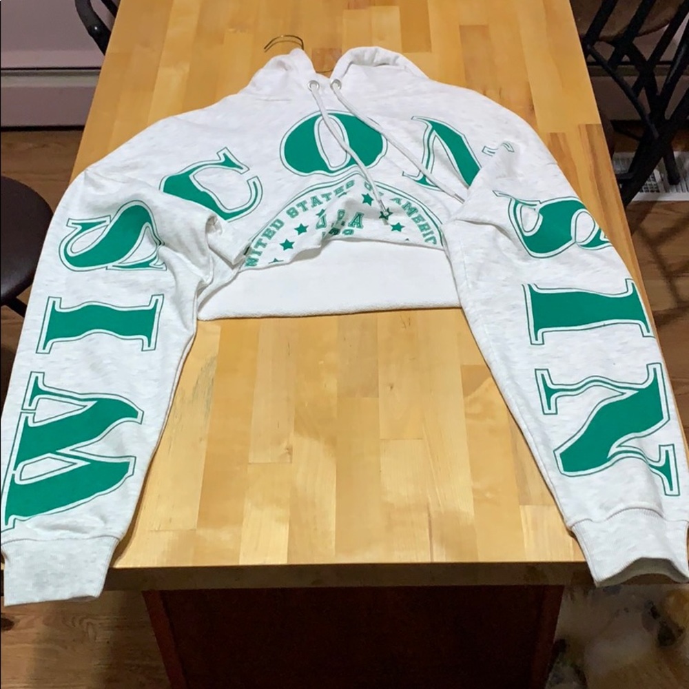 Wisconsin cropped hoodie